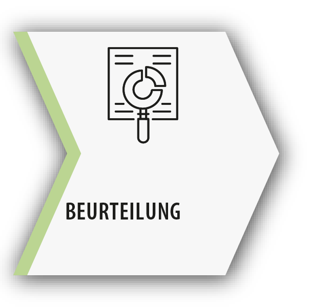 Das gezeigte Symbol stellt ein Blatt mit einer Lupe dar.